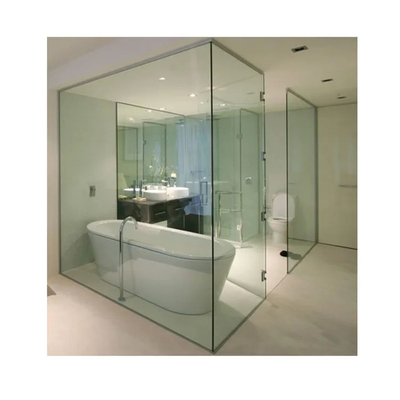 Als de klant prima dikte frameless design 600mm swing douche deur met helder glas